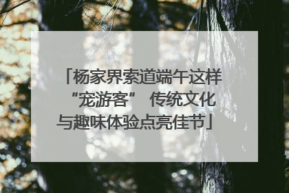杨家界索道端午这样“宠游客” 传统文化与趣味体验点亮佳节